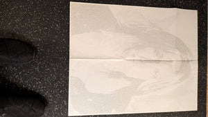 Todd Rundgren — Todd: reverse of the foldout poster of the actual copy for sale