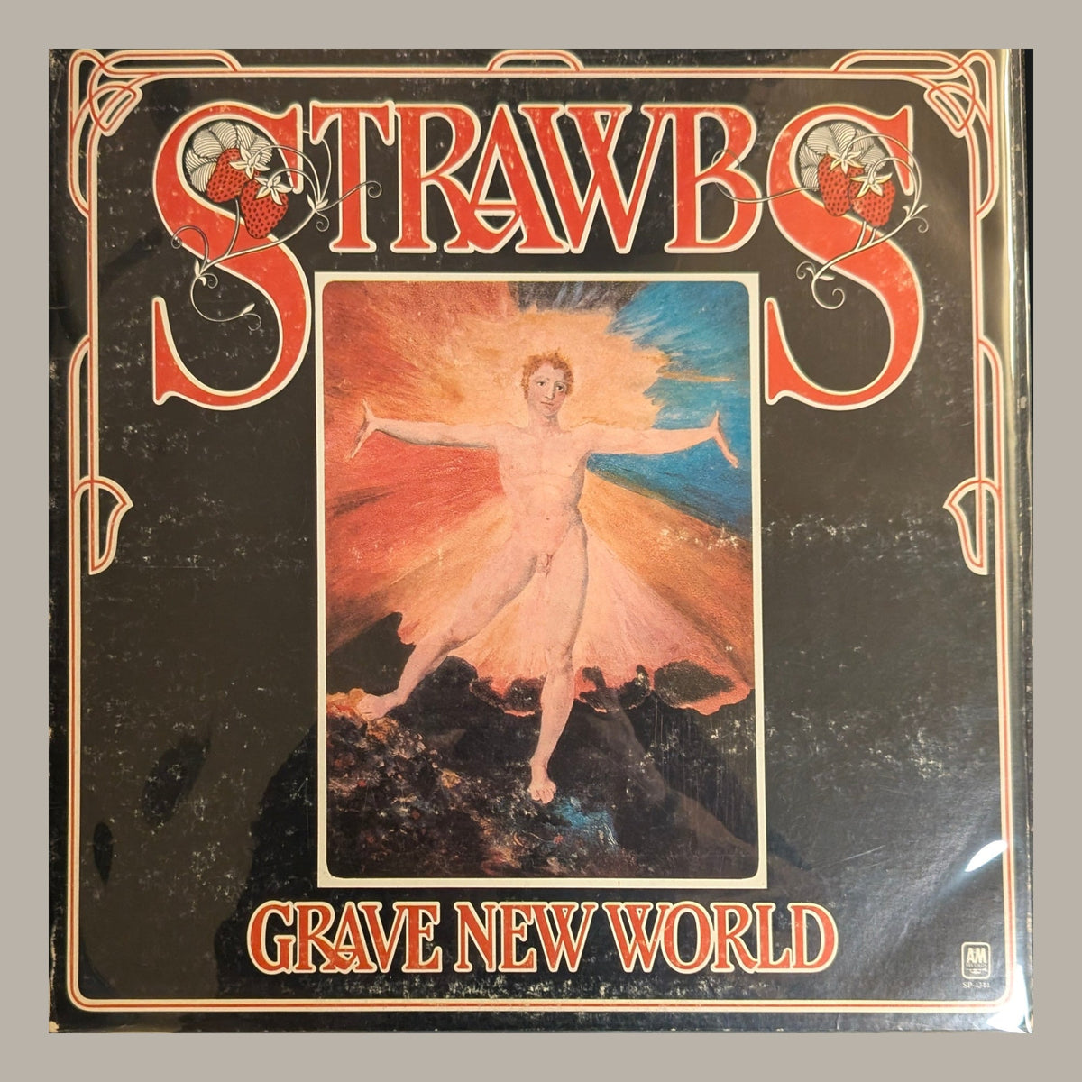 Strawbs - Grave New World, actual copy, front album cover, straight and centered in a matching light frame