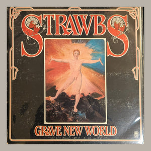 Strawbs - Grave New World, actual copy, front album cover, straight and centered in a matching light frame