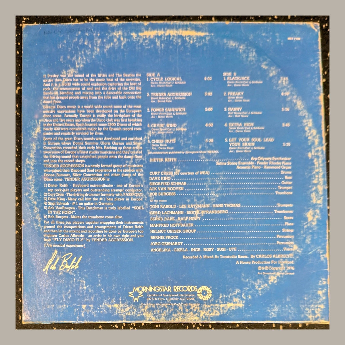 Tender Aggression - Fly Disco Fly, actual copy, back album cover, straight and centered in a matching light frame