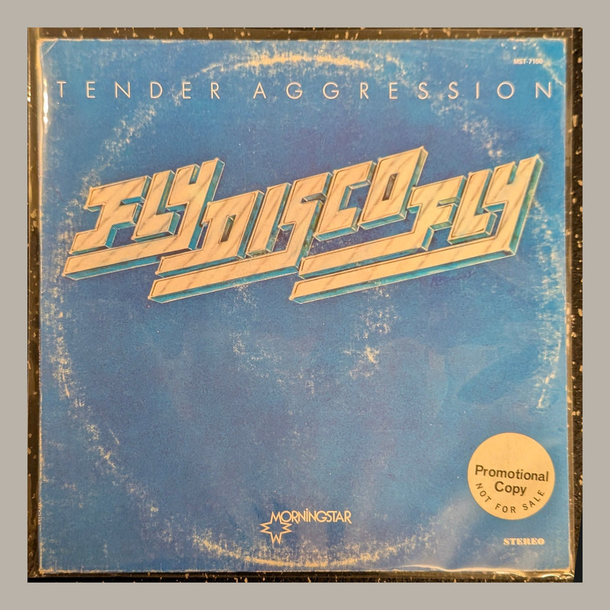 Tender Aggression - Fly Disco Fly, actual copy, front album cover, straight and centered in a matching light frame