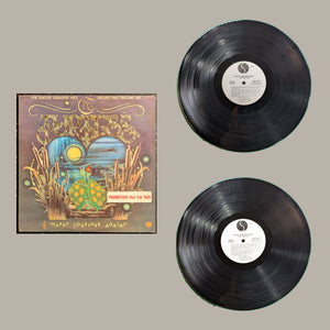 Turtles: complete front cover beside both complete records, actual copy