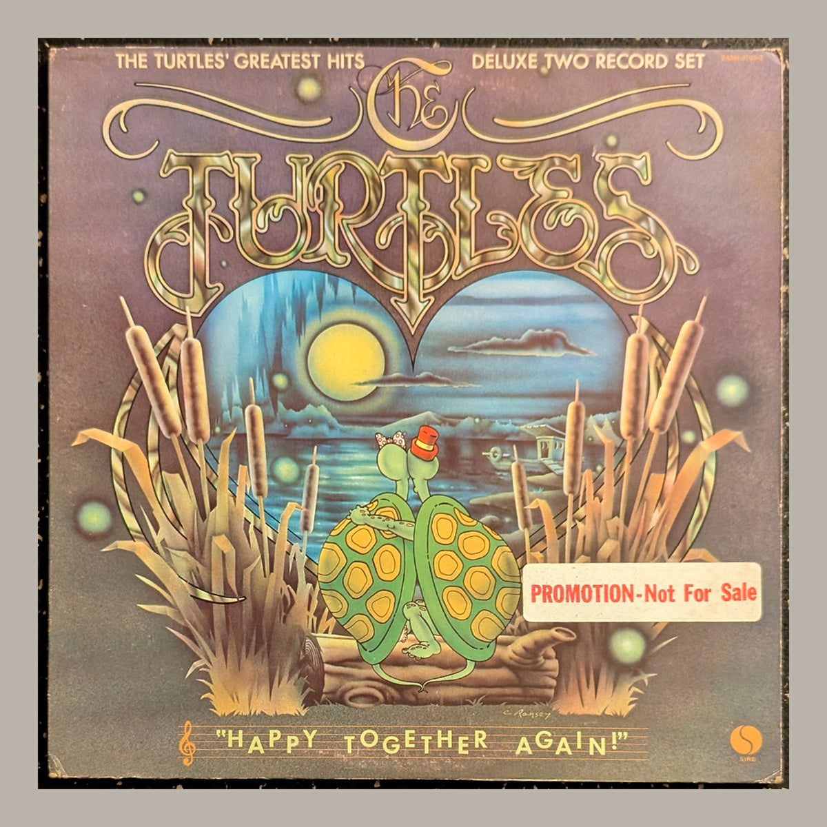 Turtles: complete front cover, all four corners visible, actual copy